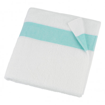 Feiler Frottierserie Exclusiv mit Chenillebordüre in mint-156