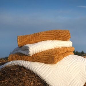 Olly