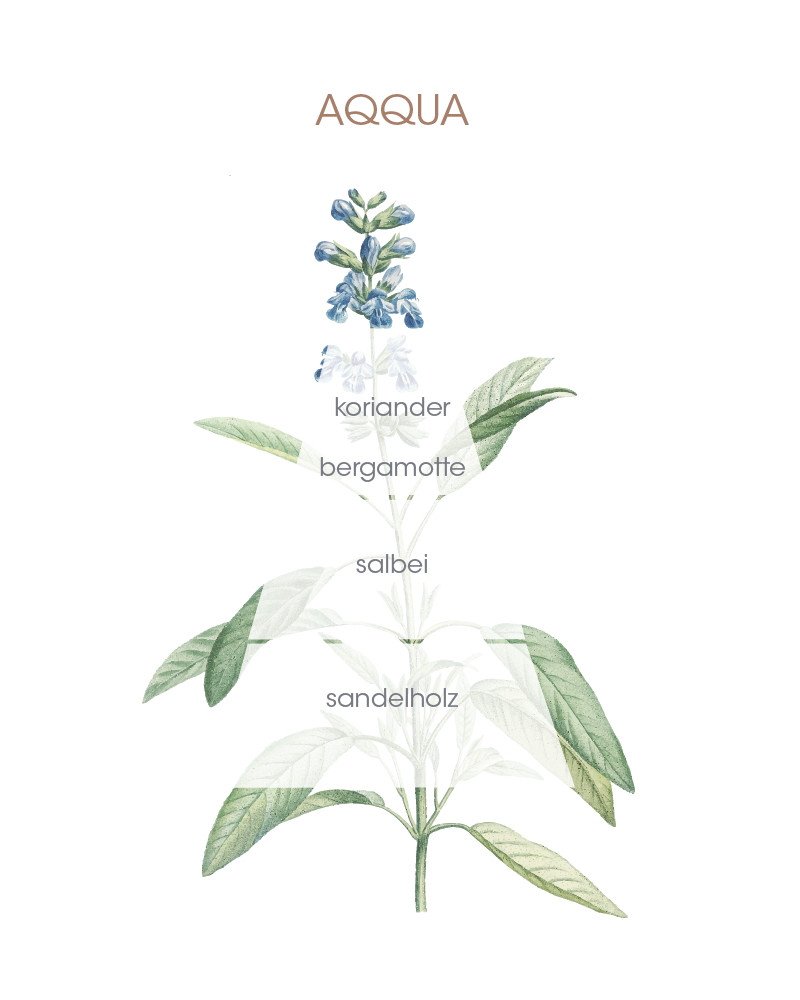 Culti Raumduft Stile Classic Aqqua – Bild 2