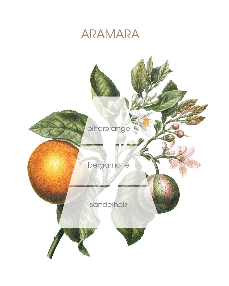 Culti Raumduft Decor Classic Aramara – Bild 2