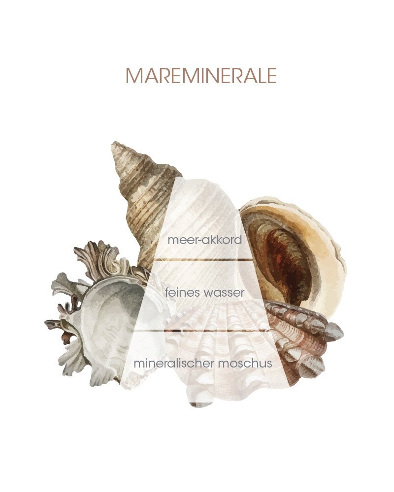 Culti Raumduft Stile Classic Mareminerale – Bild 2