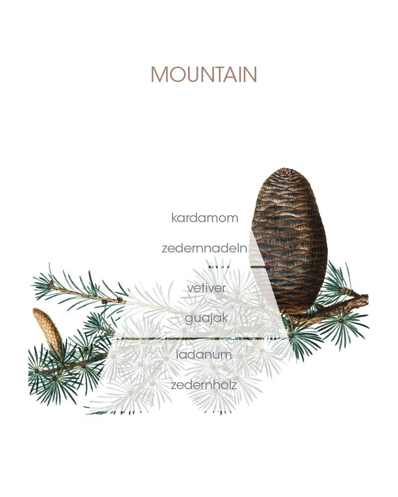 Culti Raumduft Decor Classic Mountain – Bild 2