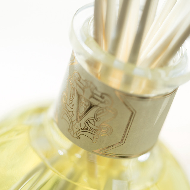 Dr. Vranjes Raumduft Ginger Lime – Bild 4