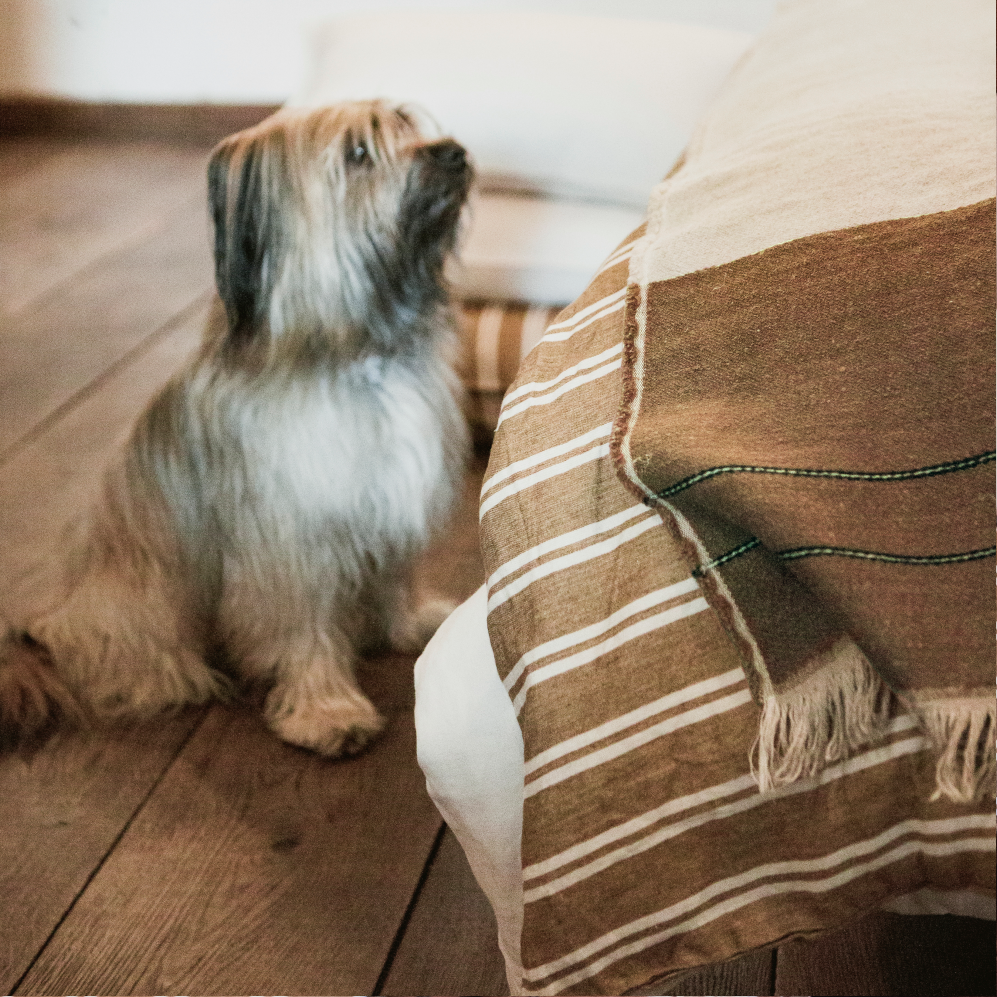 Libeco Leinen Bettwäsche Canal Stripe – Bild 5